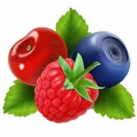 Ягодные жидкости